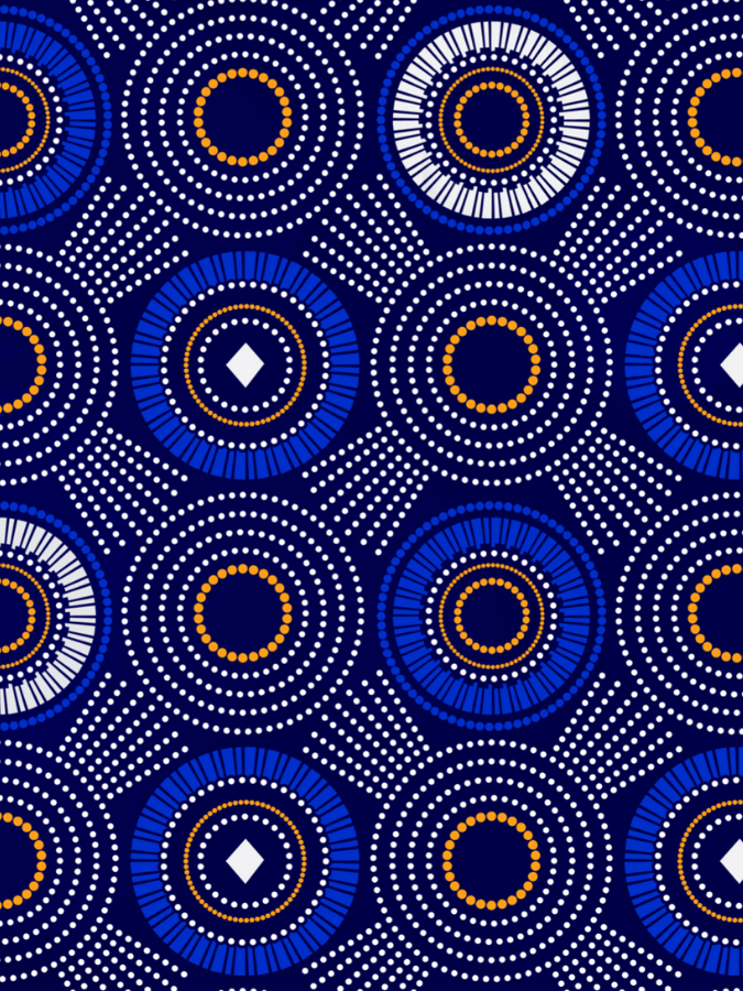 Suitcase Slipcover Shweshwe Print